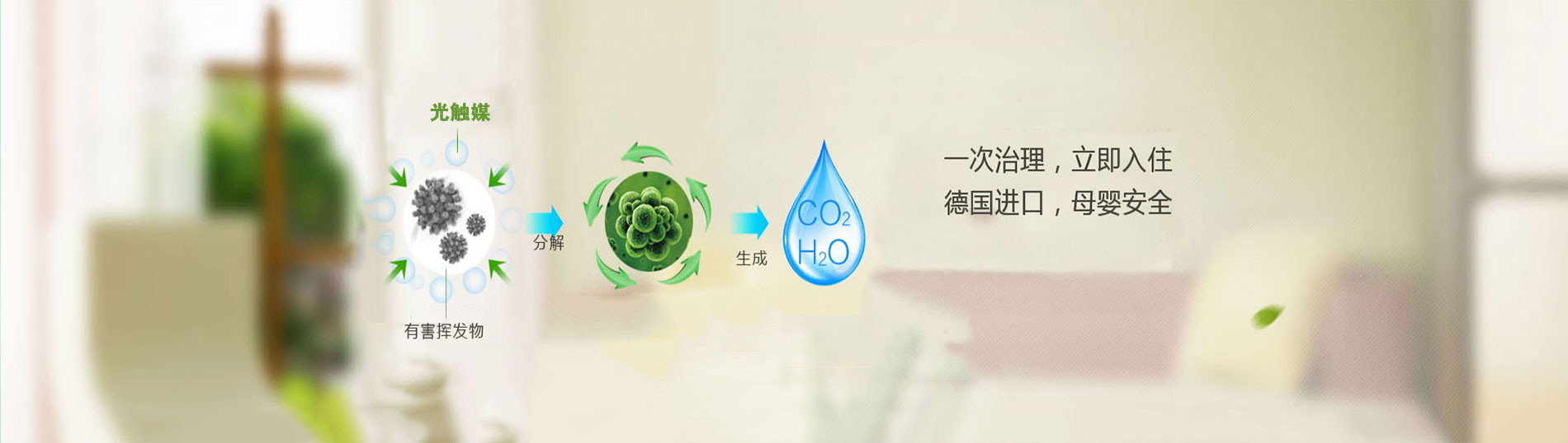 图片三