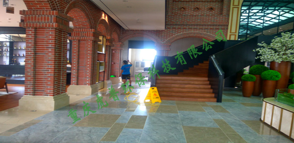 重庆除甲醛公司
