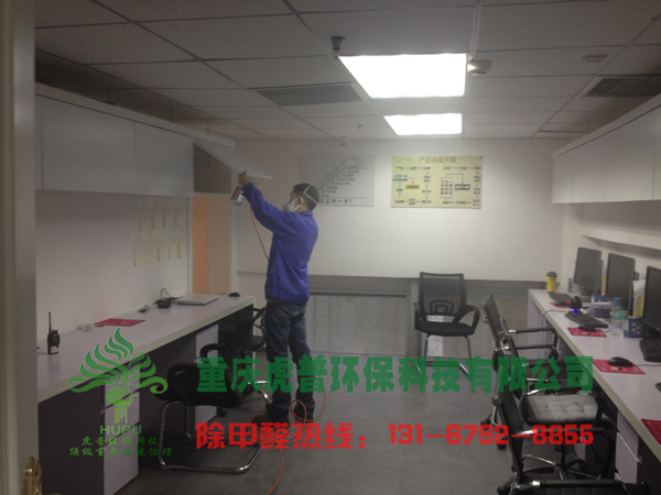 重庆除甲醛公司