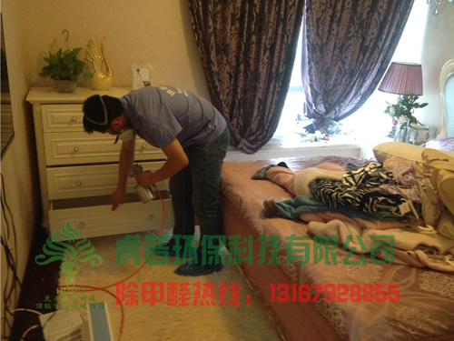 重庆除甲醛公司哪家好