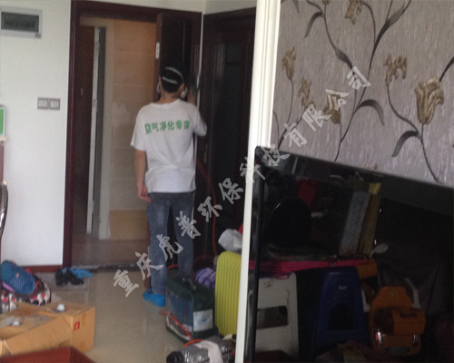 重庆除甲醛公司