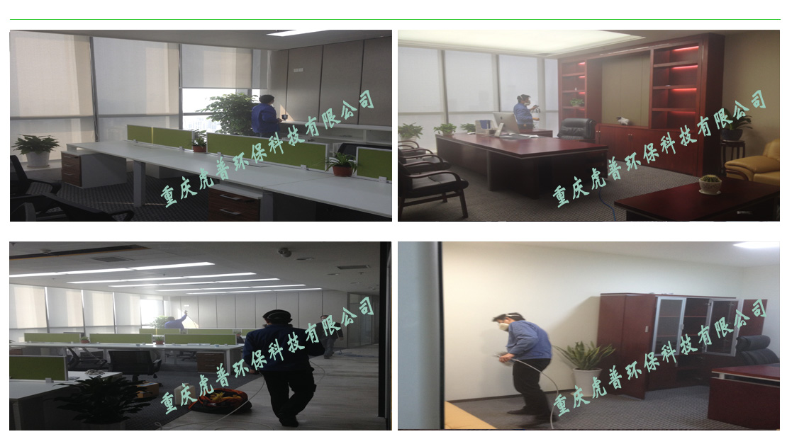 重庆除甲醛公司哪家好-虎普环保
