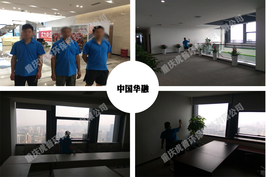 重庆除甲醛公司