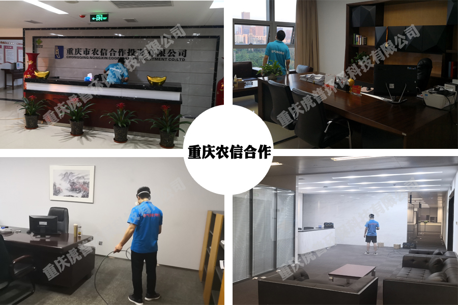 重庆除甲醛公司