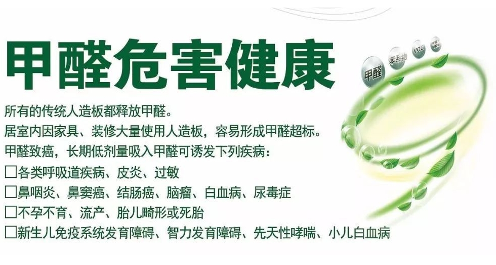 除甲醛公司