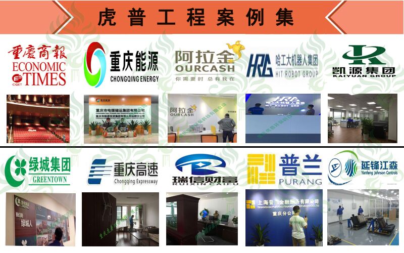如何挑选不含甲醛或含量低的环保板材