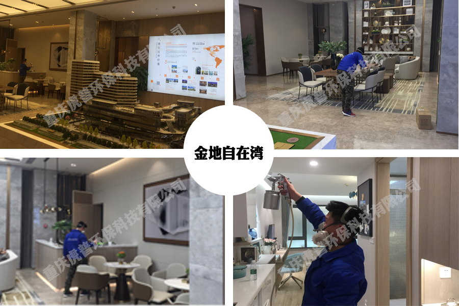 金地地产