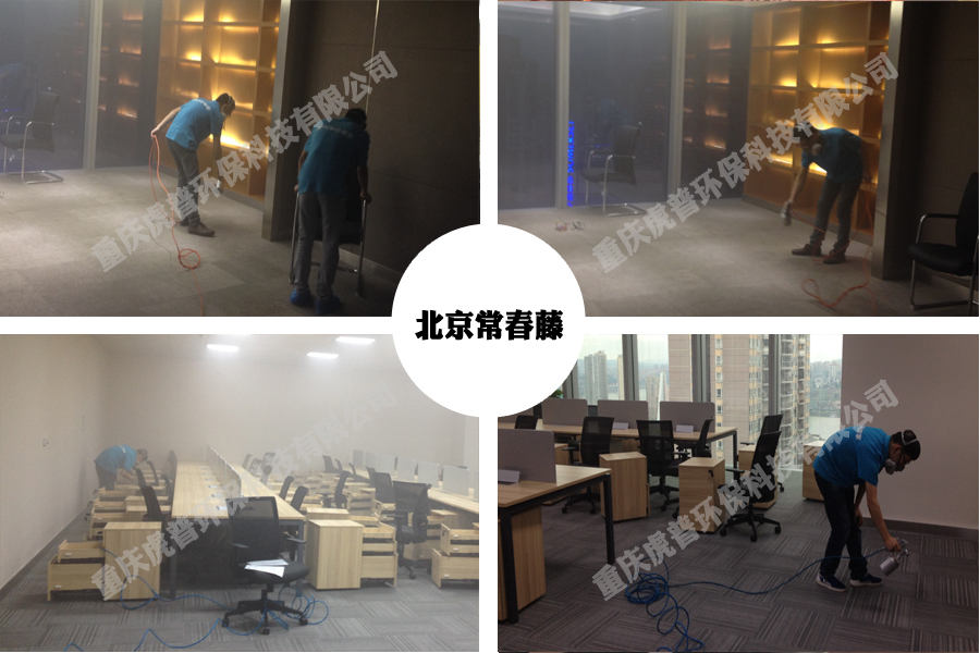 北京常春藤